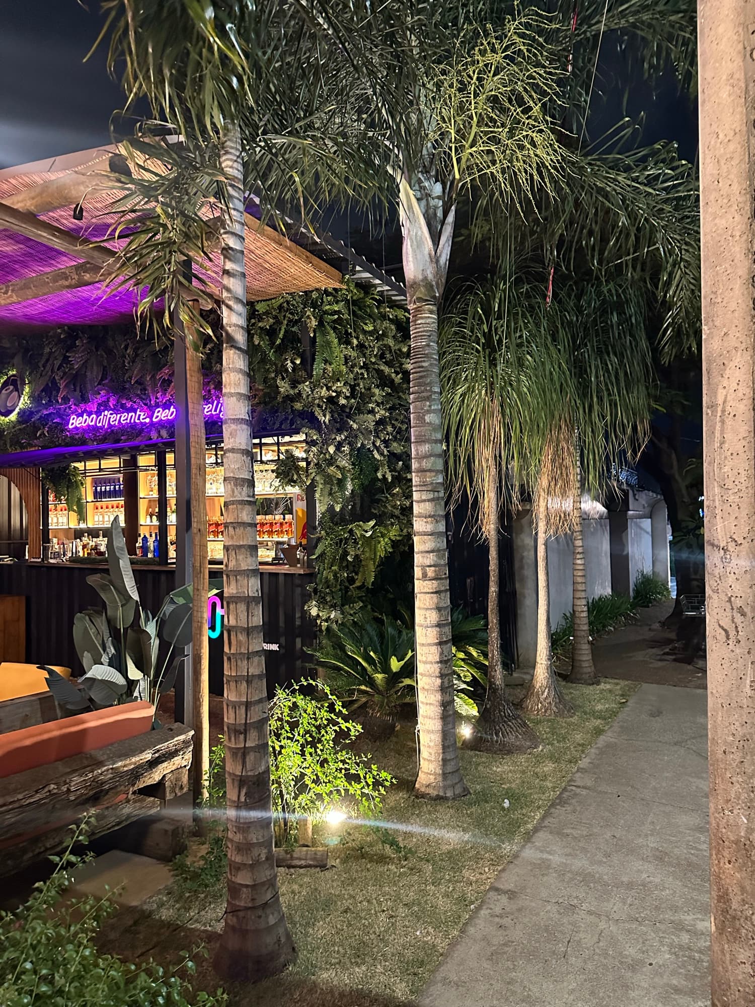 Jardim com palmeiras na entrada do Gastrô Mall